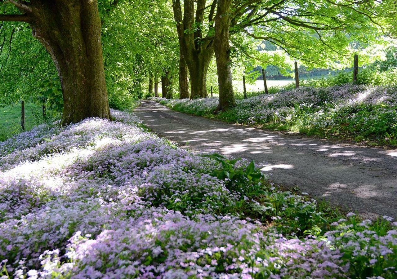 โรงแรมเครกาดาม คันทรีเฮาส์ คาสเซิล ดักลาส Kirkpatrick Durham ภายนอก รูปภาพ